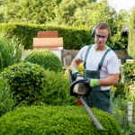 Quelles sont les formations à suivre pour devenir jardinier paysagiste ?
