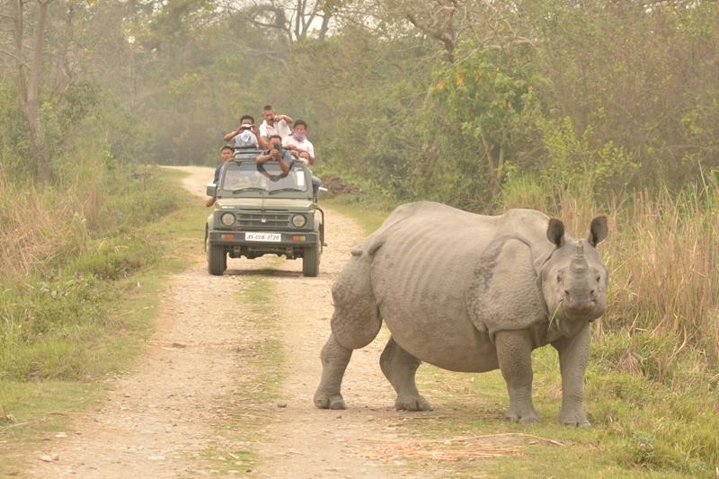 Le parc national de Kaziranga